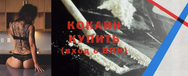 дурь Карпинск