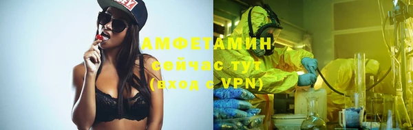 гидра Каменногорск