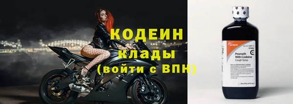 дурь Карпинск