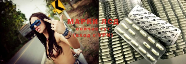 дурь Карпинск