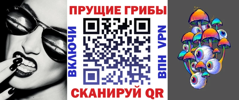 Купить закладки  Белоусово  Псилоцибиновые грибы Psilocybine cubensis 