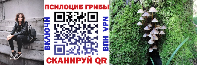 Псилоцибиновые грибы Psilocybine cubensis Белоусово