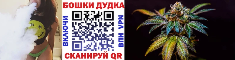 Купить закладки  Белоусово  Каннабис сатива 